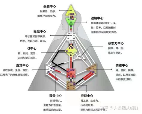 九大能量